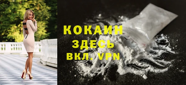 тгк Арсеньев
