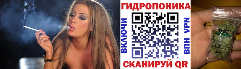 где купить наркоту  Рошаль  даркнет как зайти  Бошки марихуана план 